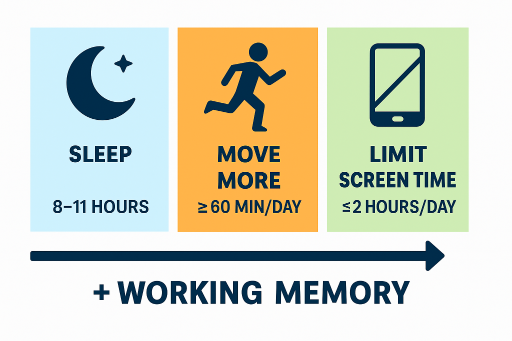 Infografía de las guías de movimiento de 24 horas para adolescentes: dormir 8–11 horas, hacer ≥60 minutos de ejercicio al día y limitar pantallas a ≤2 horas, para mejorar la memoria de trabajo.